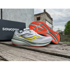 Мужские кроссовки для бега Saucony OMNI 22 S20926-110 Fog/Bough серые